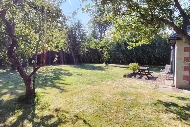 Apple garden 768x512